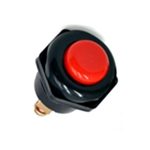 Тастер за автомобил
